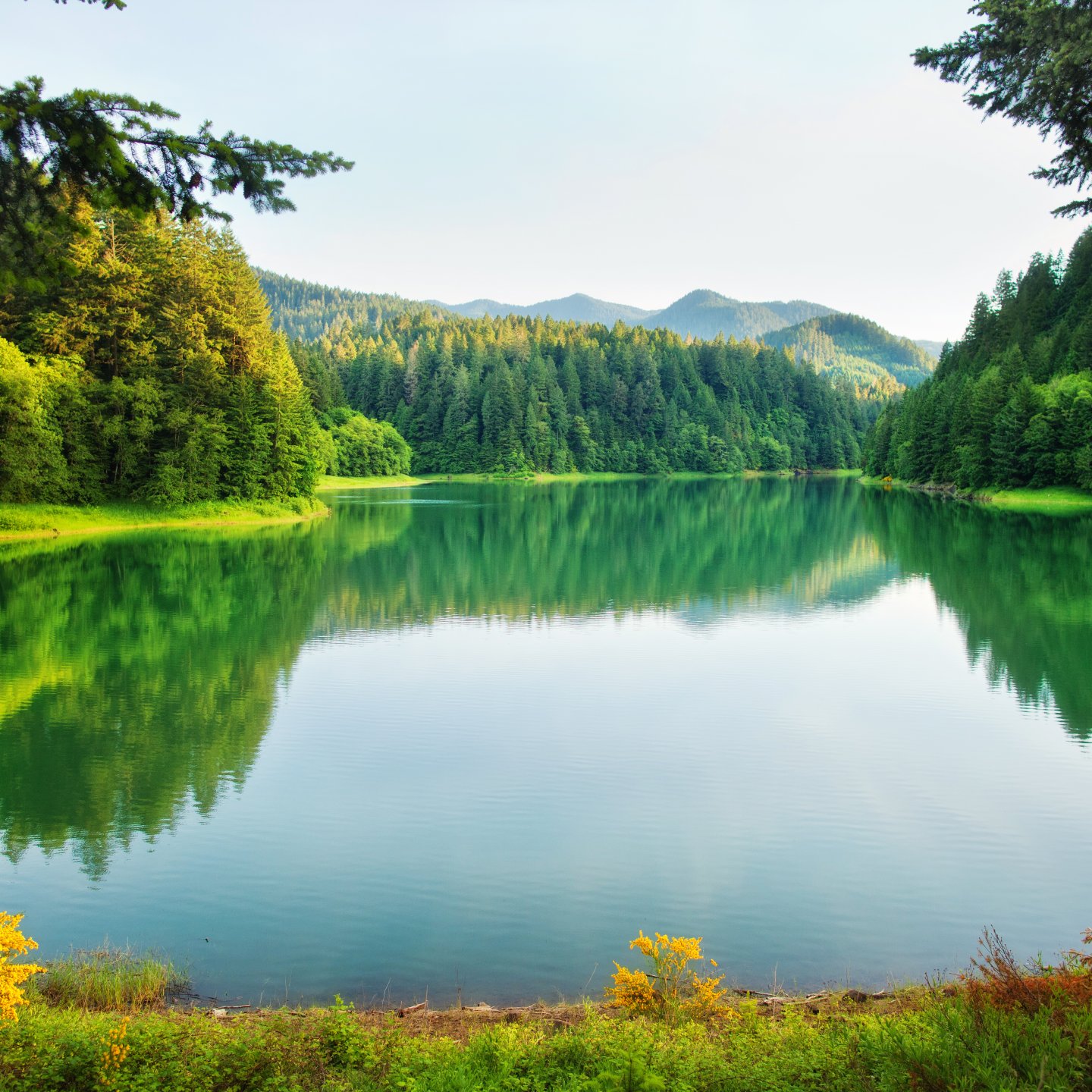 Shop Pond and Lake Supplies - Jones Lake Management